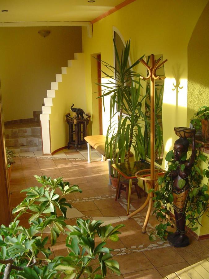 Villa Ametyst Štúrovo Extérieur photo