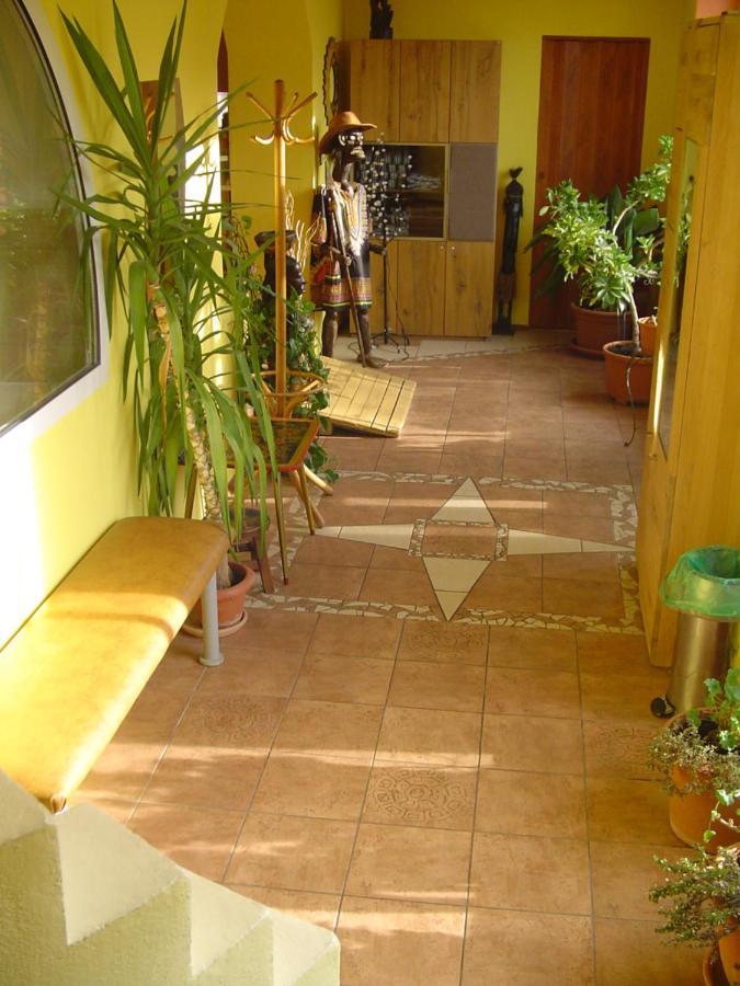 Villa Ametyst Štúrovo Extérieur photo